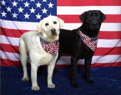 mypride kennels